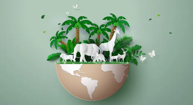 World Environment Day 2025: A Call to Beat Plastic Pollution world-environment-day-2025-a-call-to-beat-plastic-pollution